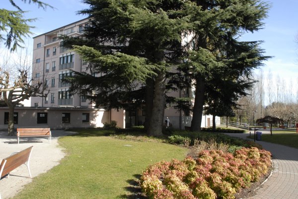 Molina1.jpg