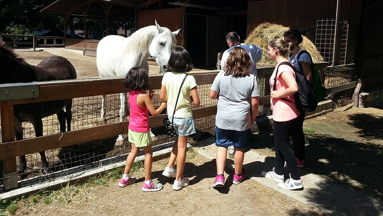 Summer-Camp2016-3.jpg